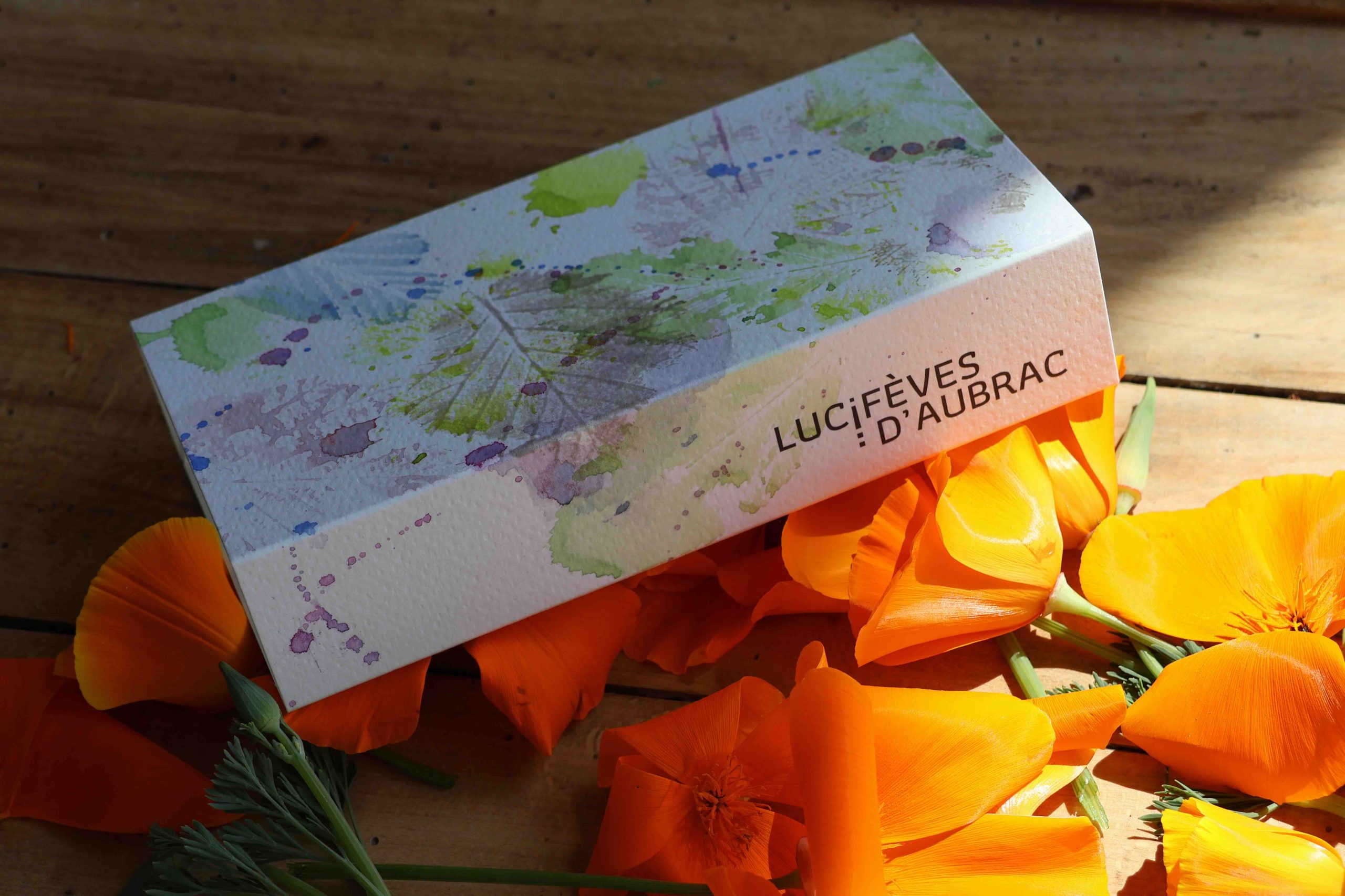 coffret 10 barrettes individuelles chocolat lucifeves d'aubrac