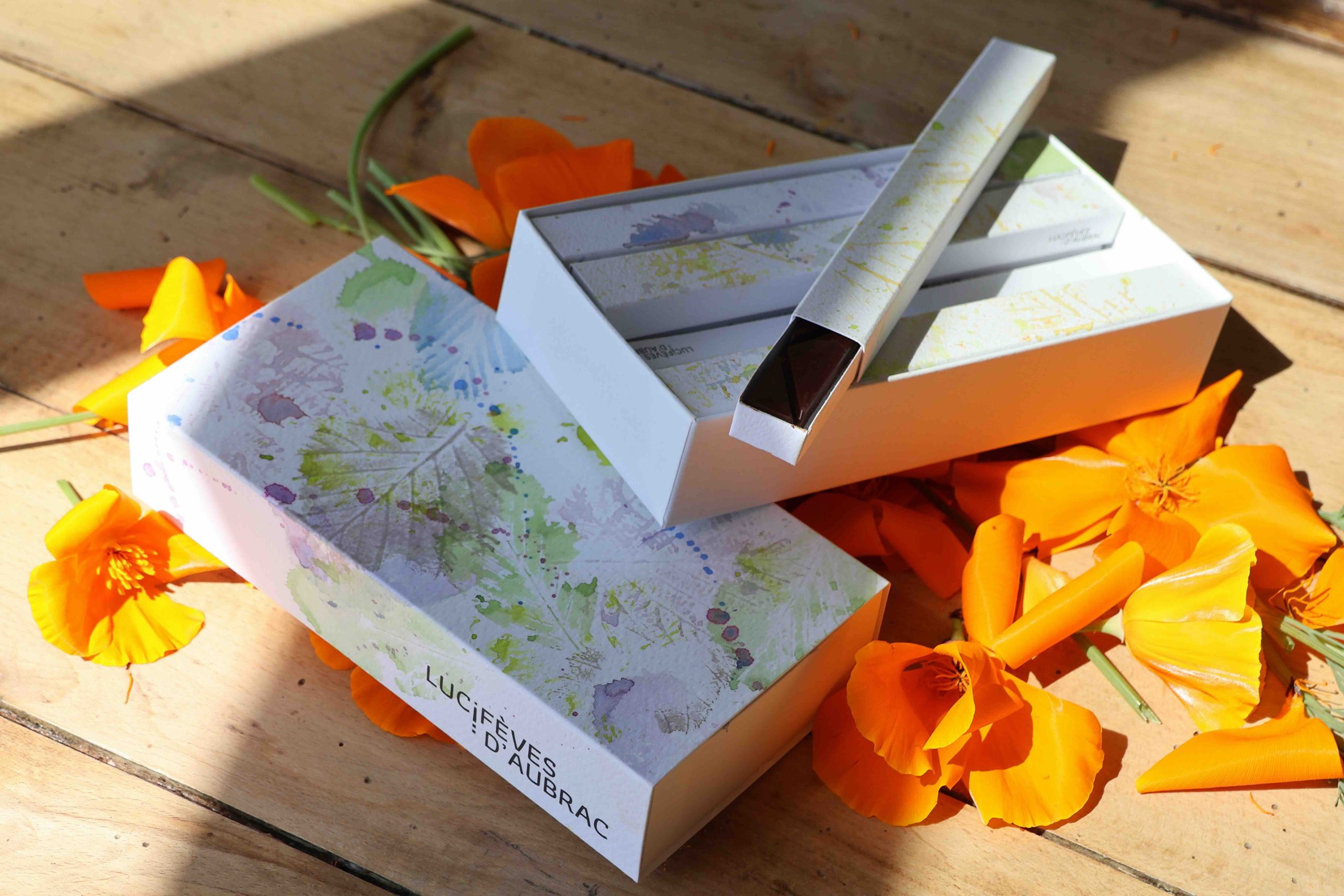 IMG_1390 2coffret 10 barrettes individuelles chocolat lucifeves d'aubrac
