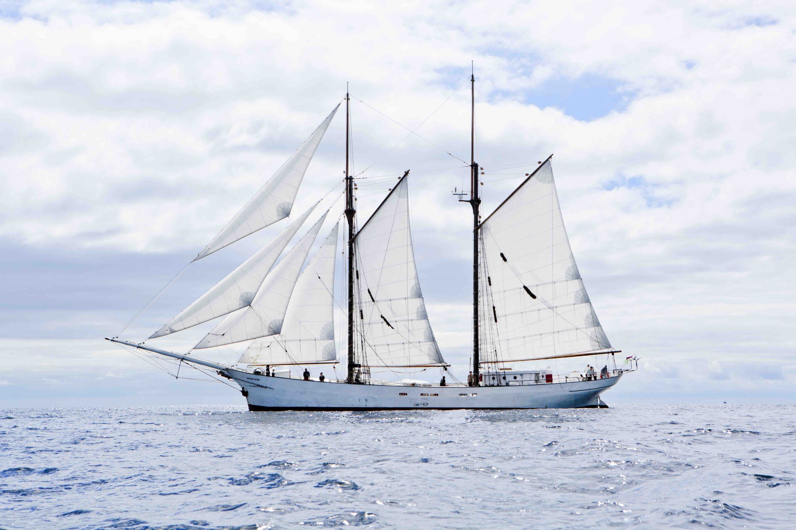 transport voile belize Timbercoast – Cargo Under Sail transport cacao voile belize maya mountain empreinte carbone